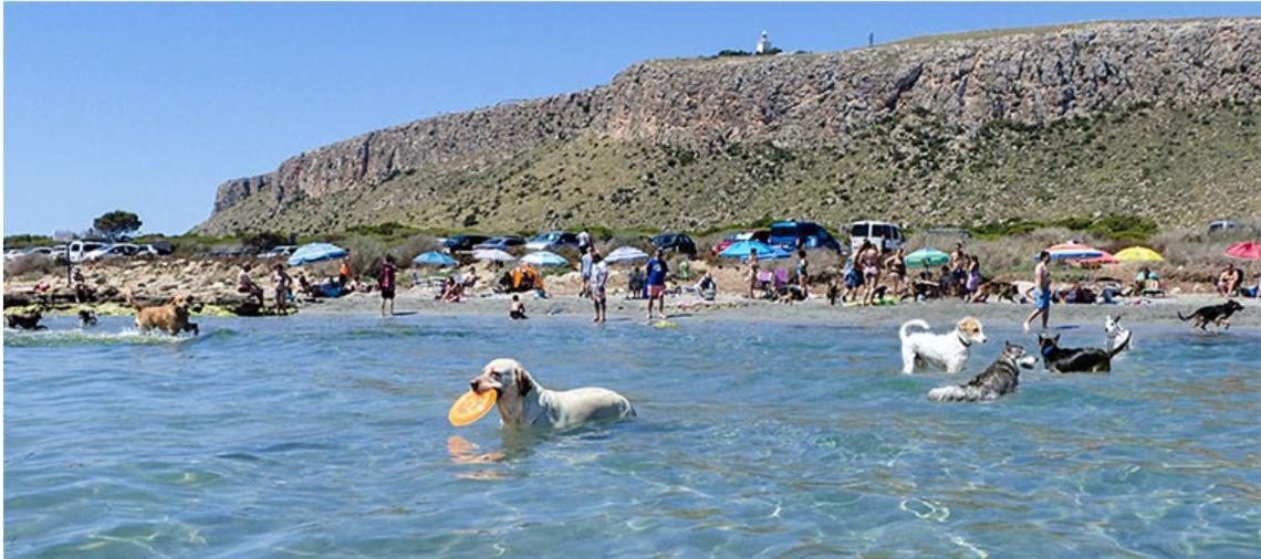 Adosado Tranquilo Con Piscina Y Vistas Al Mar Διαμέρισμα Puerto Marino Εξωτερικό φωτογραφία